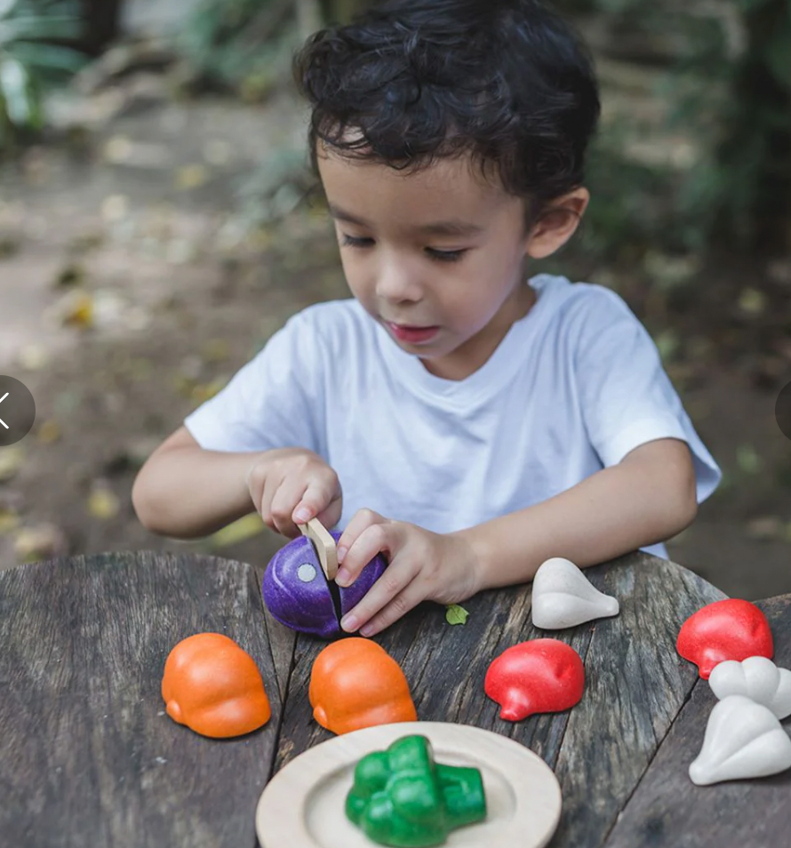 5 Colors Veggie Set