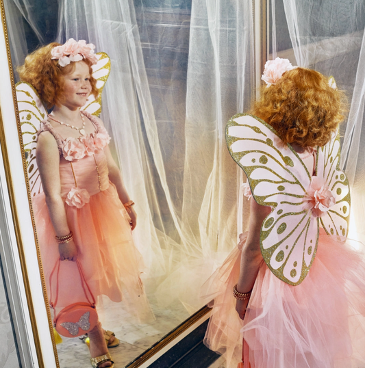 Annemarie Fairy Costume (5-7yrs)