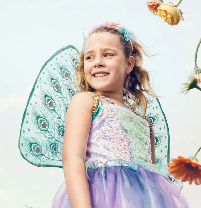 Tamara Fairy Costume–Dress and Wings Set