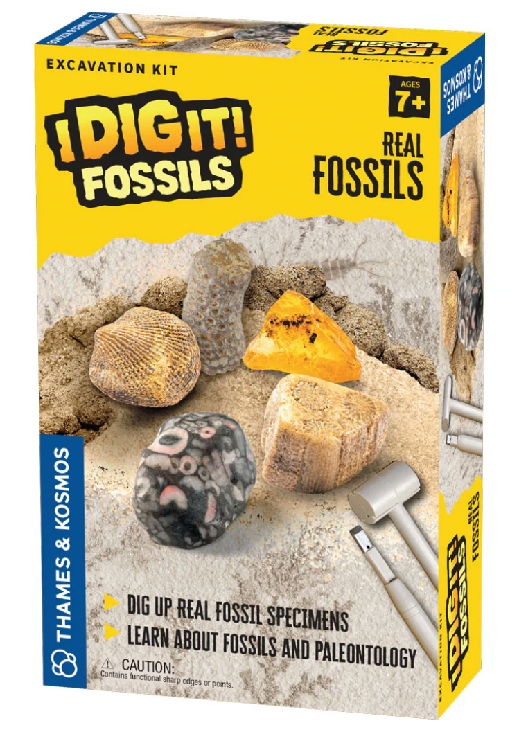 I Dig It! Fossils - Real Fossils Excavation Kit