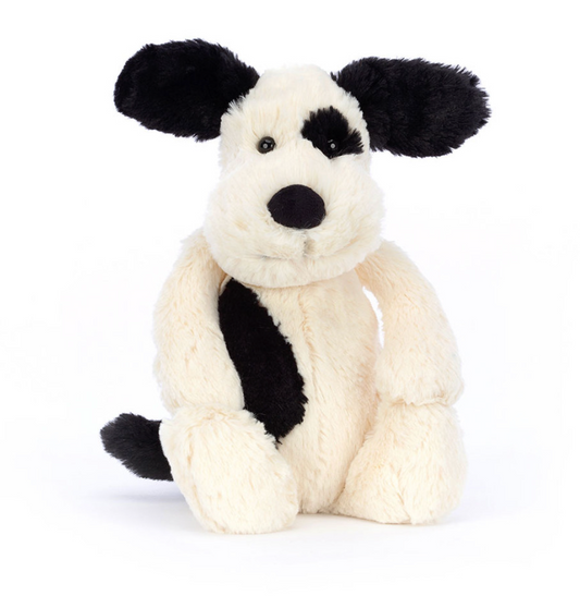 Rufferty Black & Cream Puppy