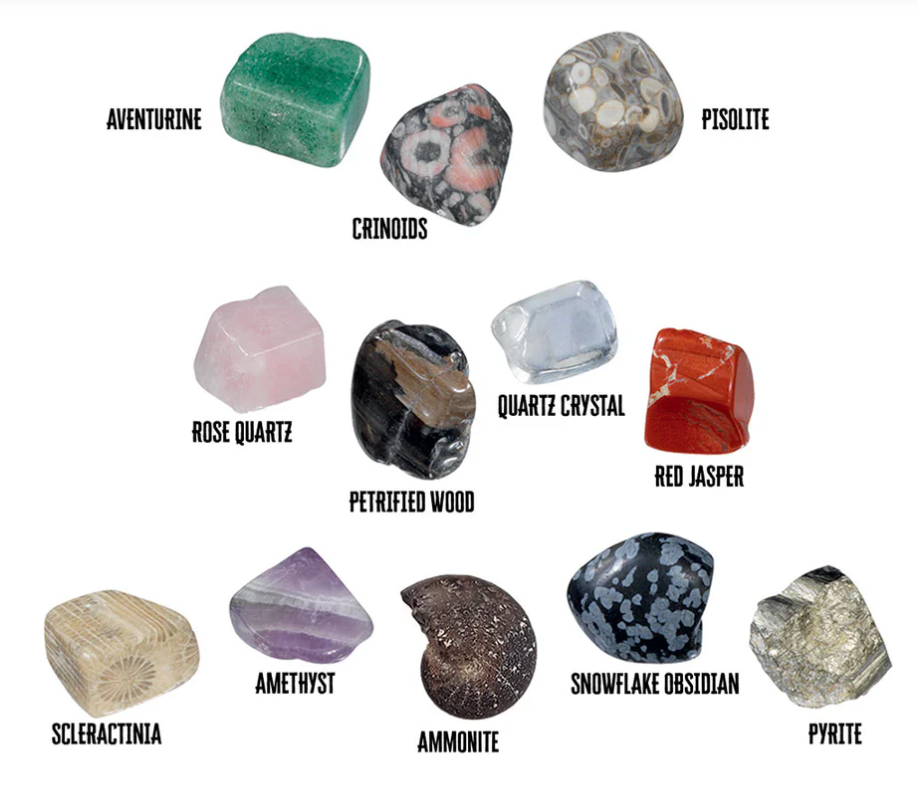I Dig It! Rocks & Fossils (Mini Excavation Set)