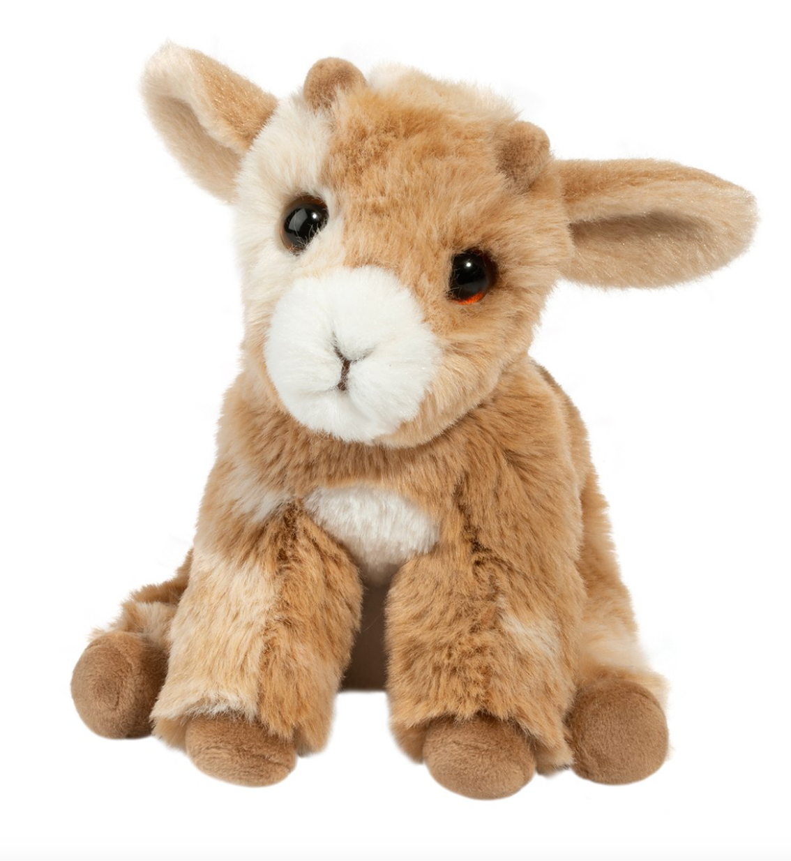 Mini Dandie Soft Goat