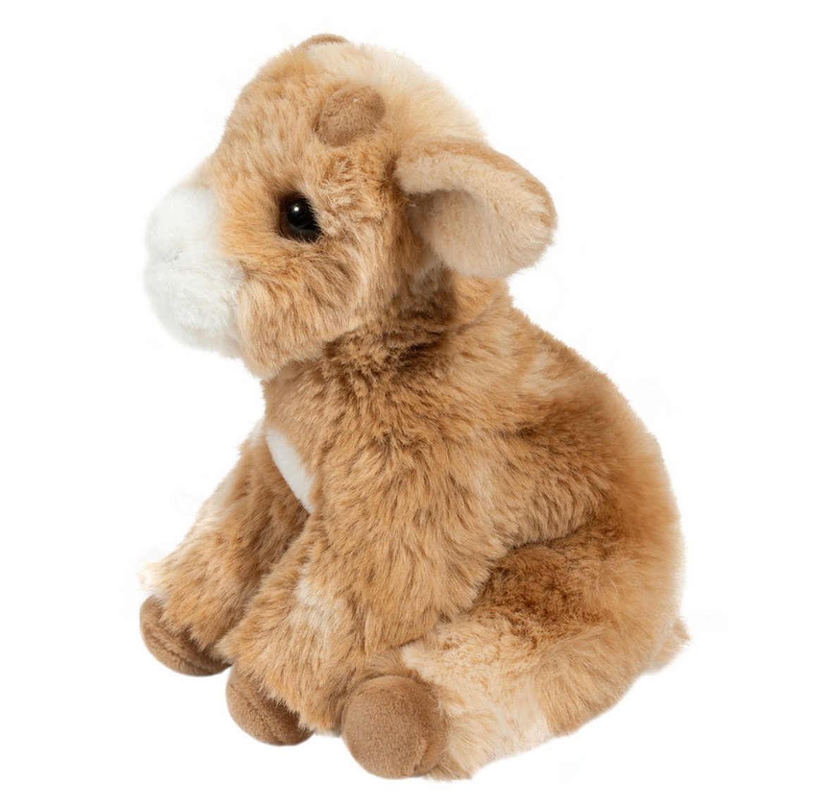 Mini Dandie Soft Goat