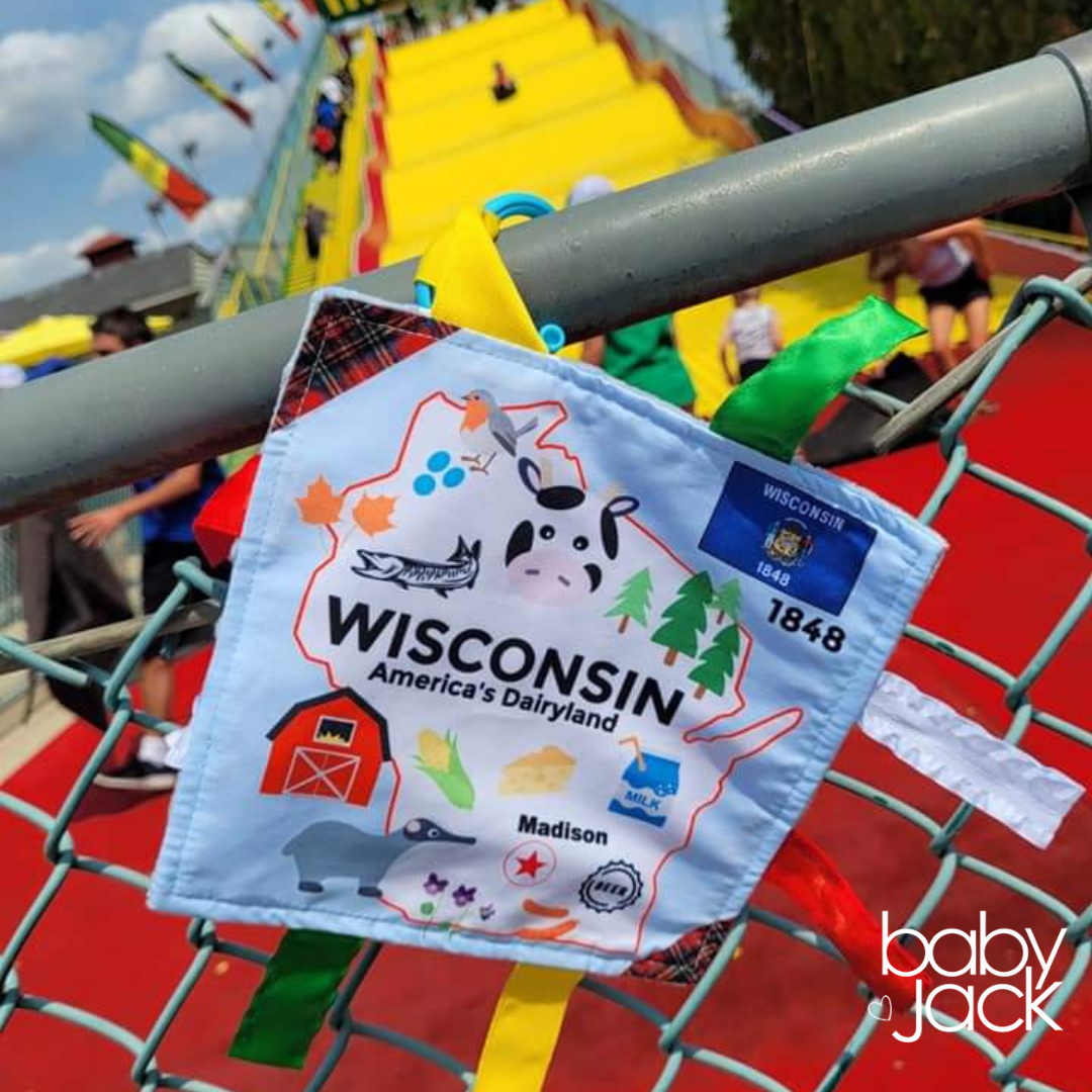 Wisconsin State Baby Crinkle Tag Square 8"x 8" Toy