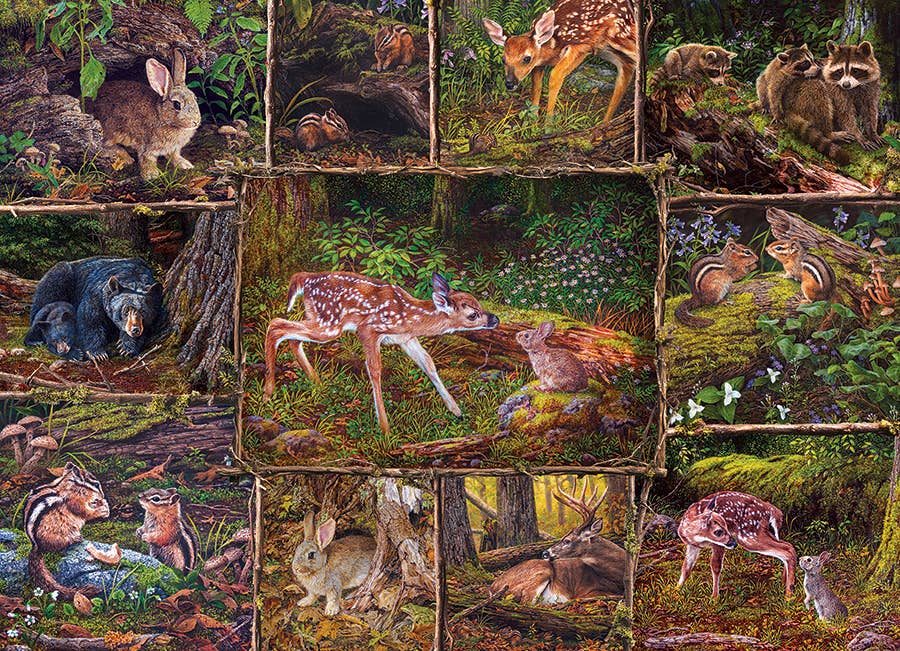 Into the Woods (Family) 350 Piece Cobble Hill Puzzle