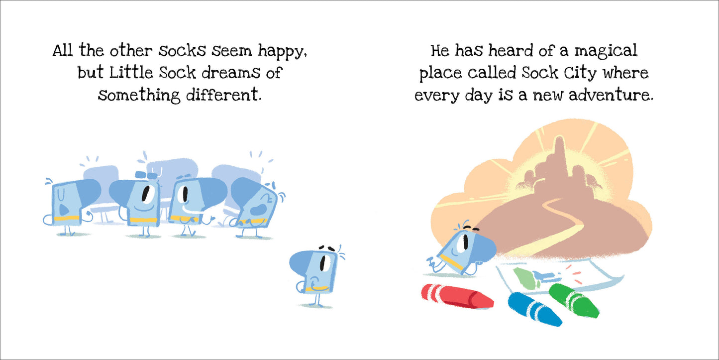 Little Sock Picture Book