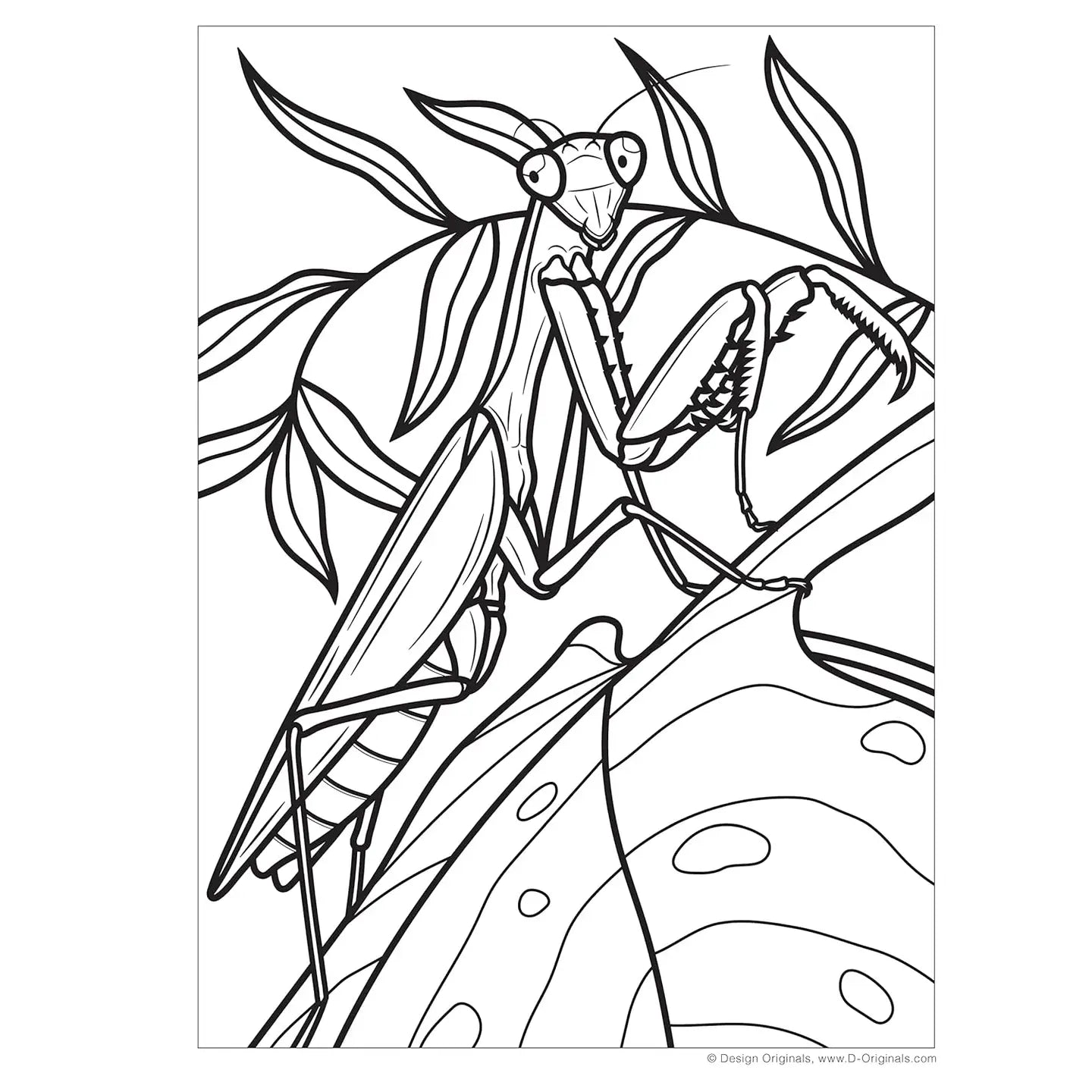 Super Cool Bugs and Spiders Coloring Book (with Stickers)