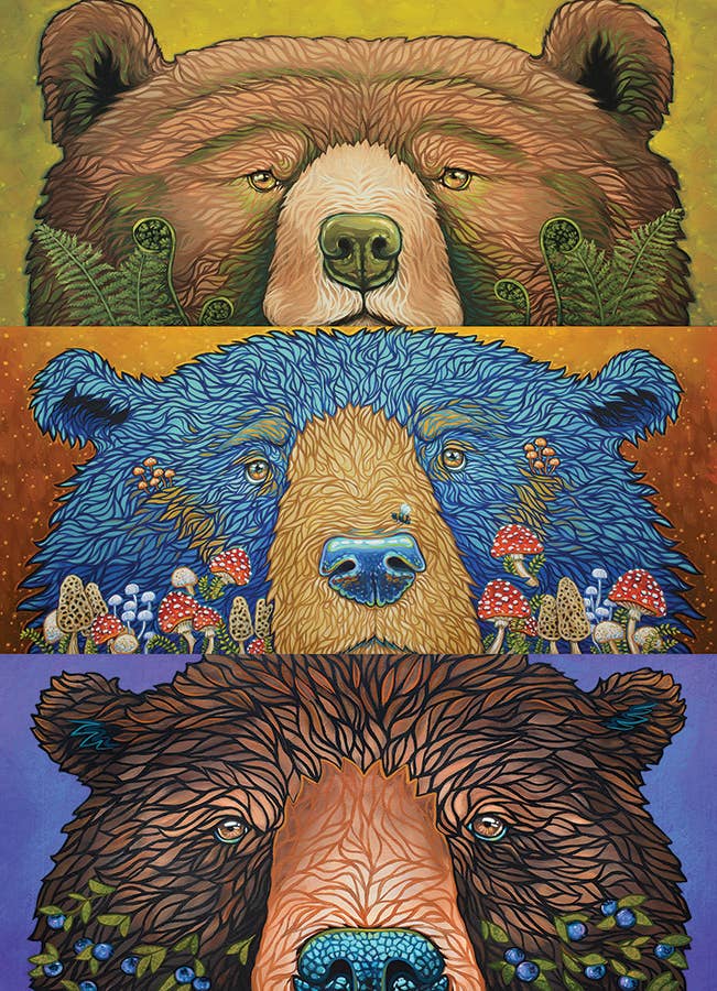 Bear Eyes: Harvest 500pc Puzzle