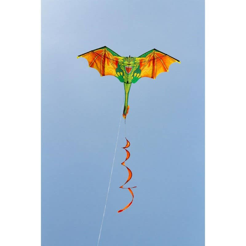 Blaze The Dragon Kite