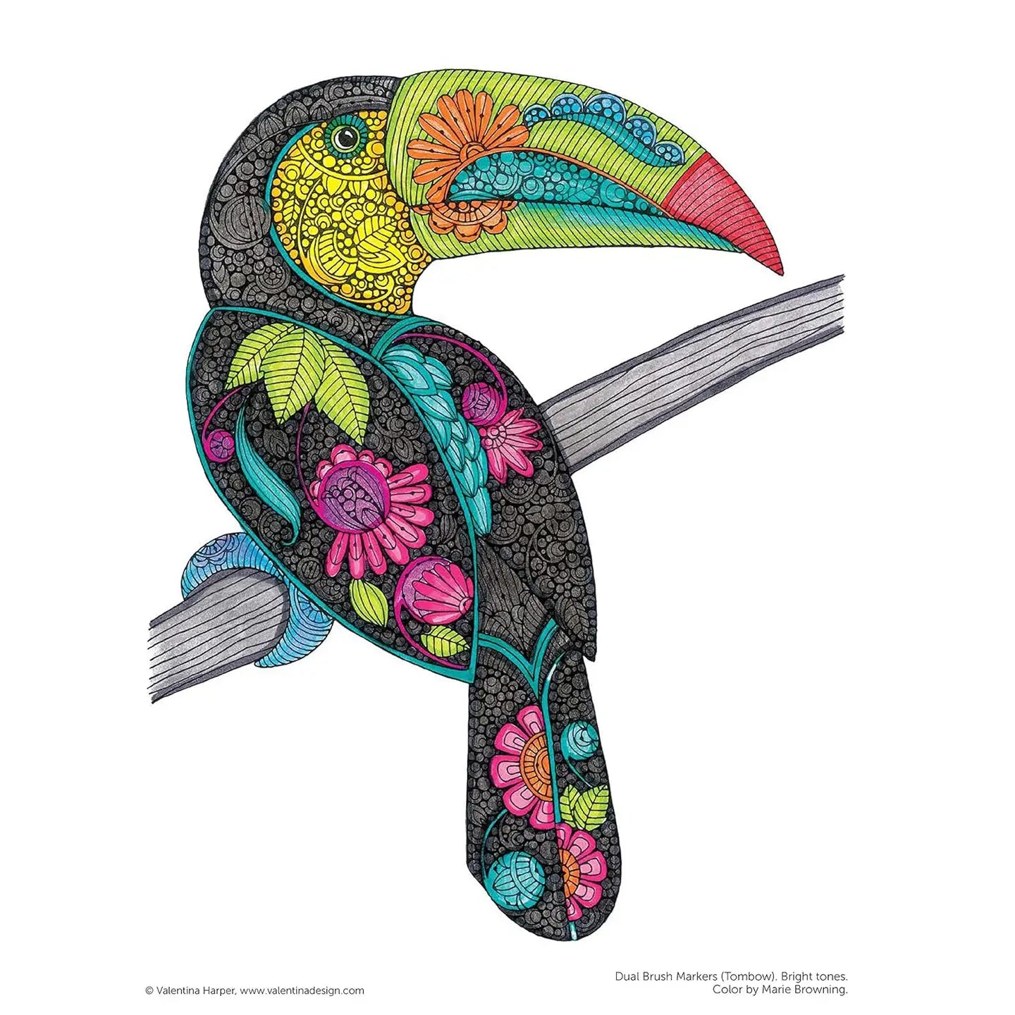 Creative Coloring Birds - Adult Coloring Designs