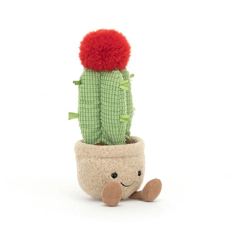 Moon Cactus Amuseable