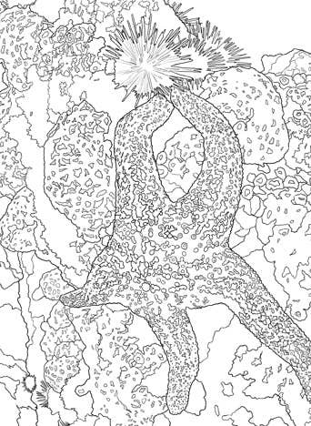 The National Parks Postcard Coloring Book