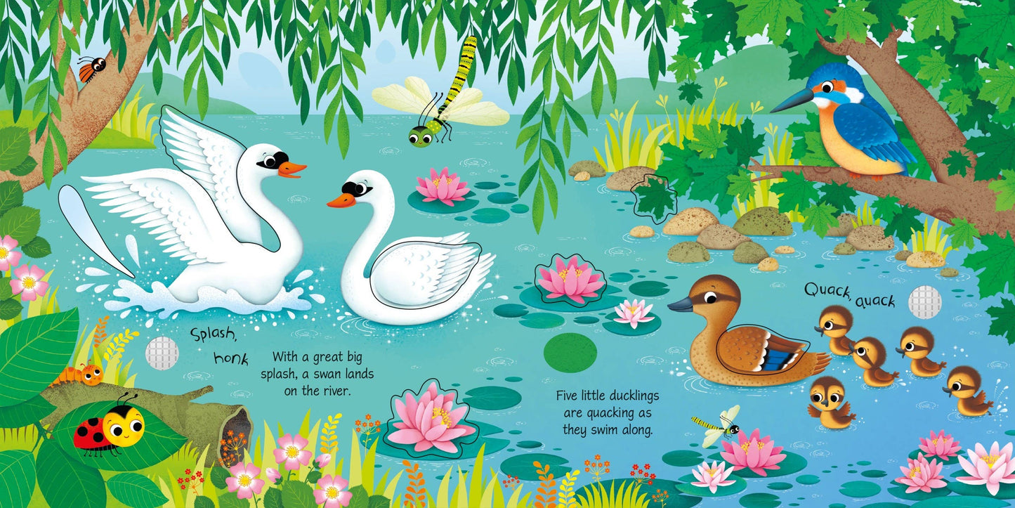 Bird Sounds: Usborne