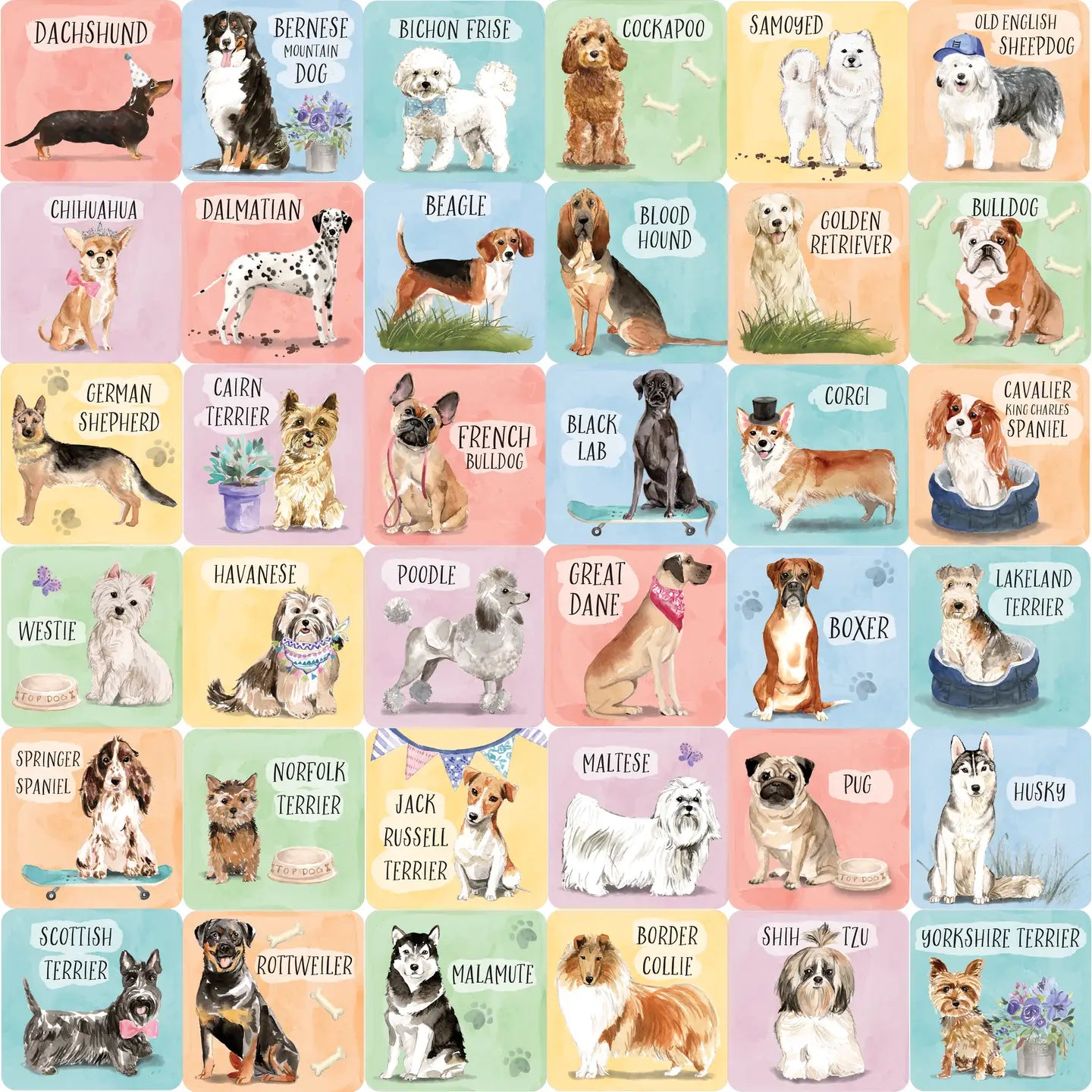 Dogs Memory Match Game (Set of 72 Cards)