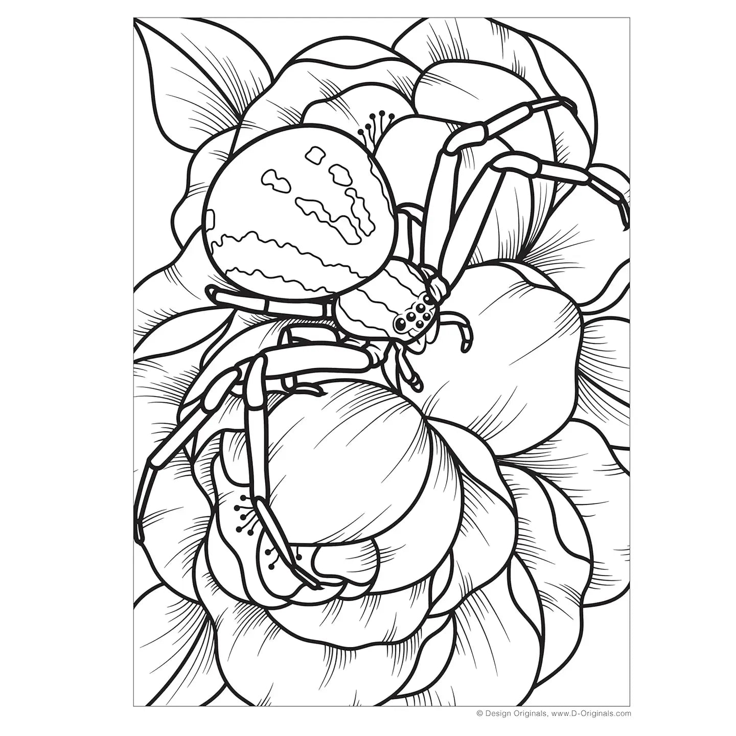 Super Cool Bugs and Spiders Coloring Book (with Stickers)