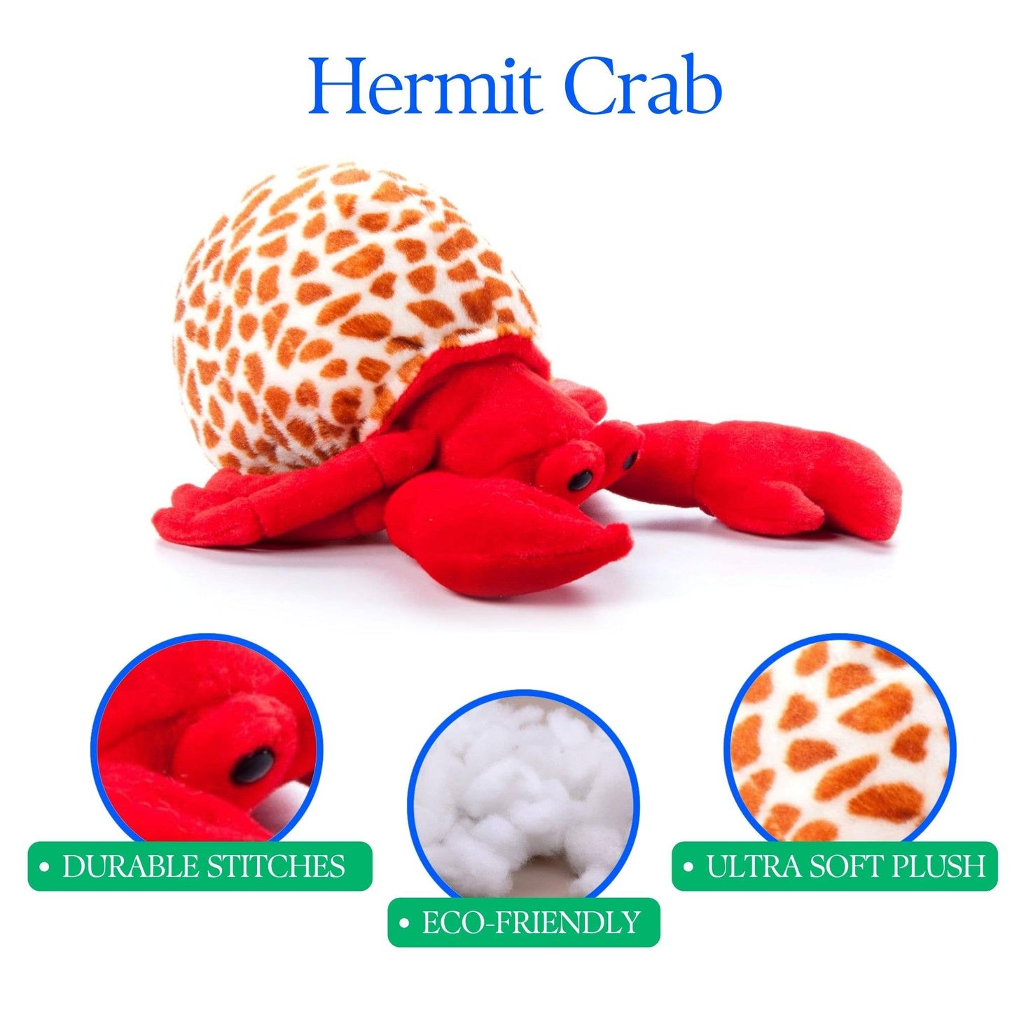 Wild Onez Small Hermit Crab