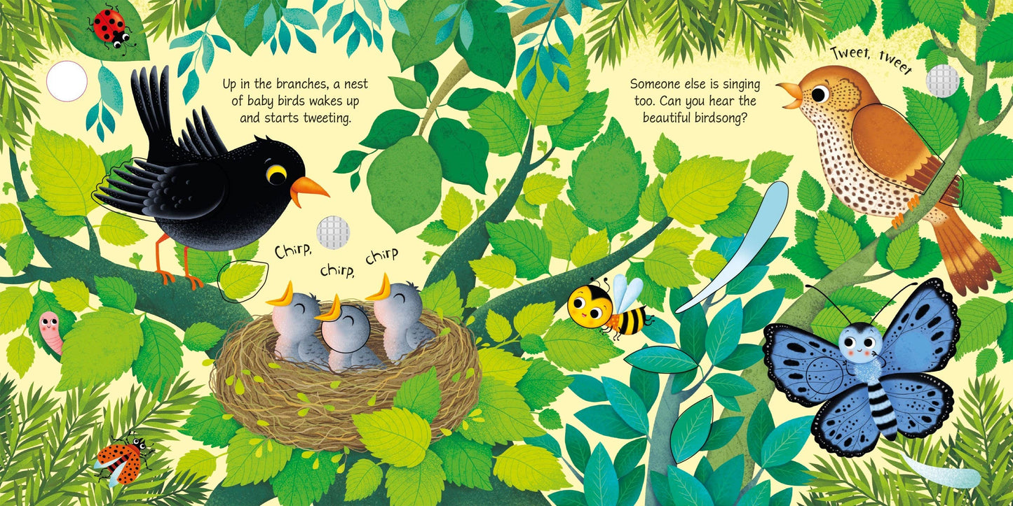 Bird Sounds: Usborne