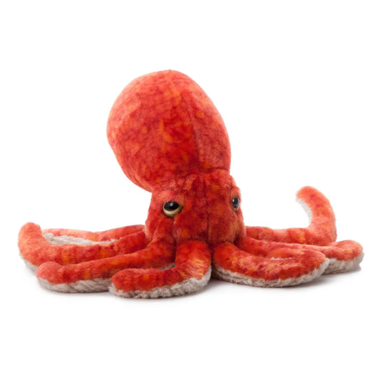 Wild Onez Pacific Red Octopus