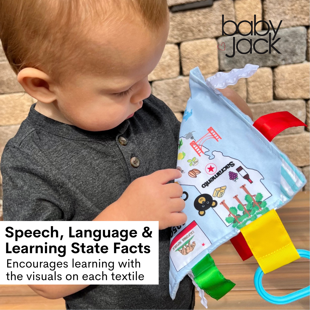 Wisconsin State Baby Crinkle Tag Square 8"x 8" Toy