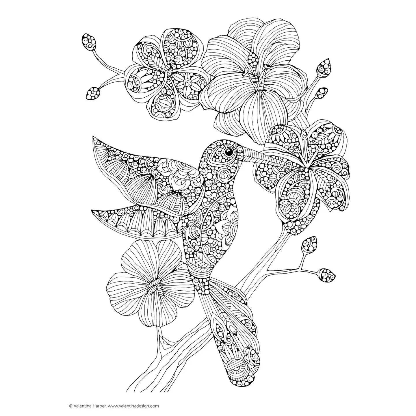 Creative Coloring Birds - Adult Coloring Designs