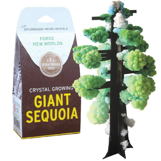 Crystal Growing Giant Sequoia |  Craft Kit Science Kit