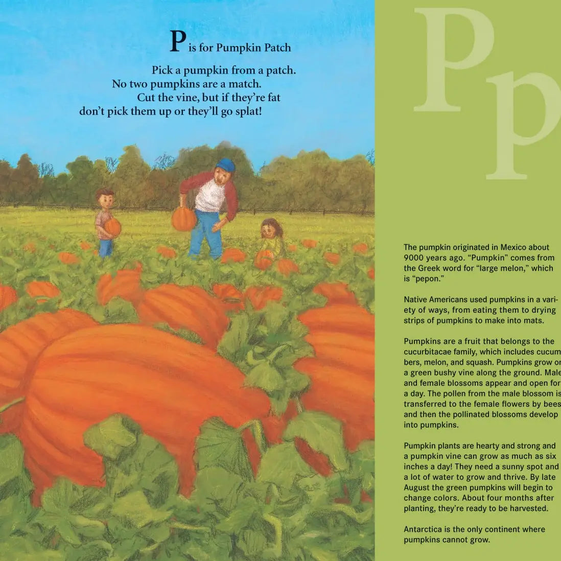 J Is For Jack-O-Lantern: A Halloween Picture Book