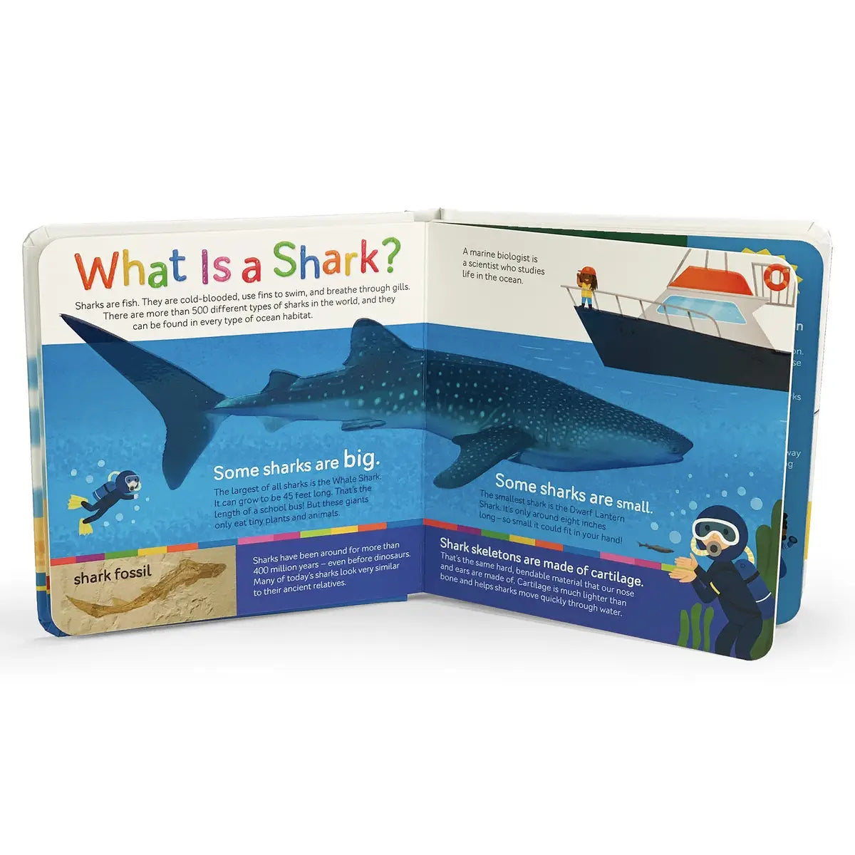 Smithsonian Kids Sharks Board Book