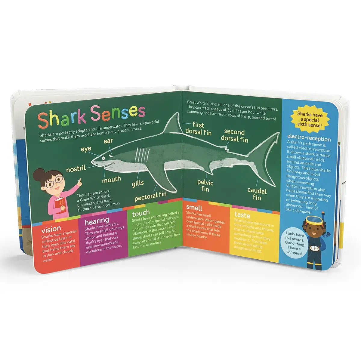 Smithsonian Kids Sharks Board Book