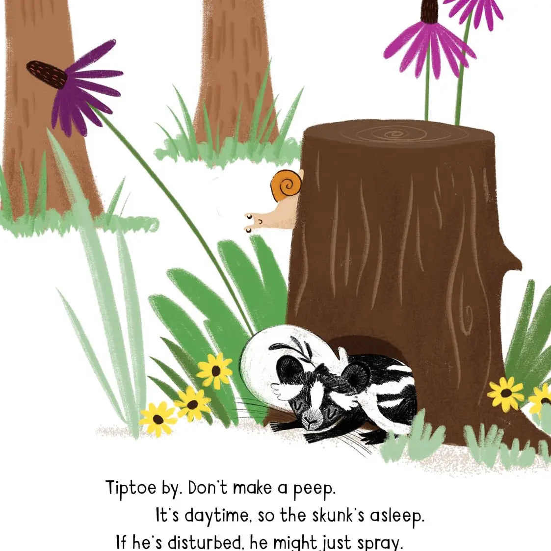 If You Wake A Skunk Picture Book