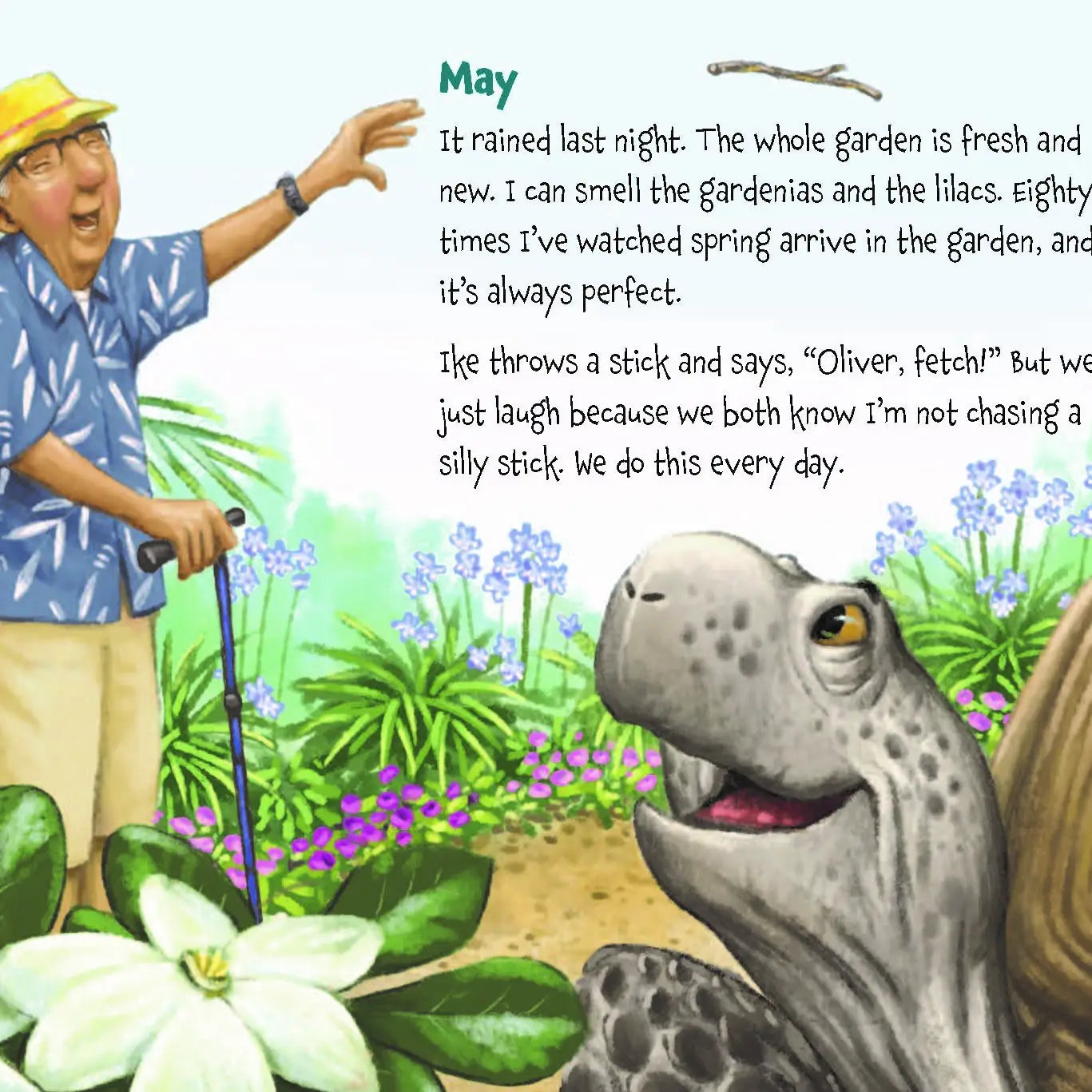 Memoirs of A Tortoise, A Picture Book