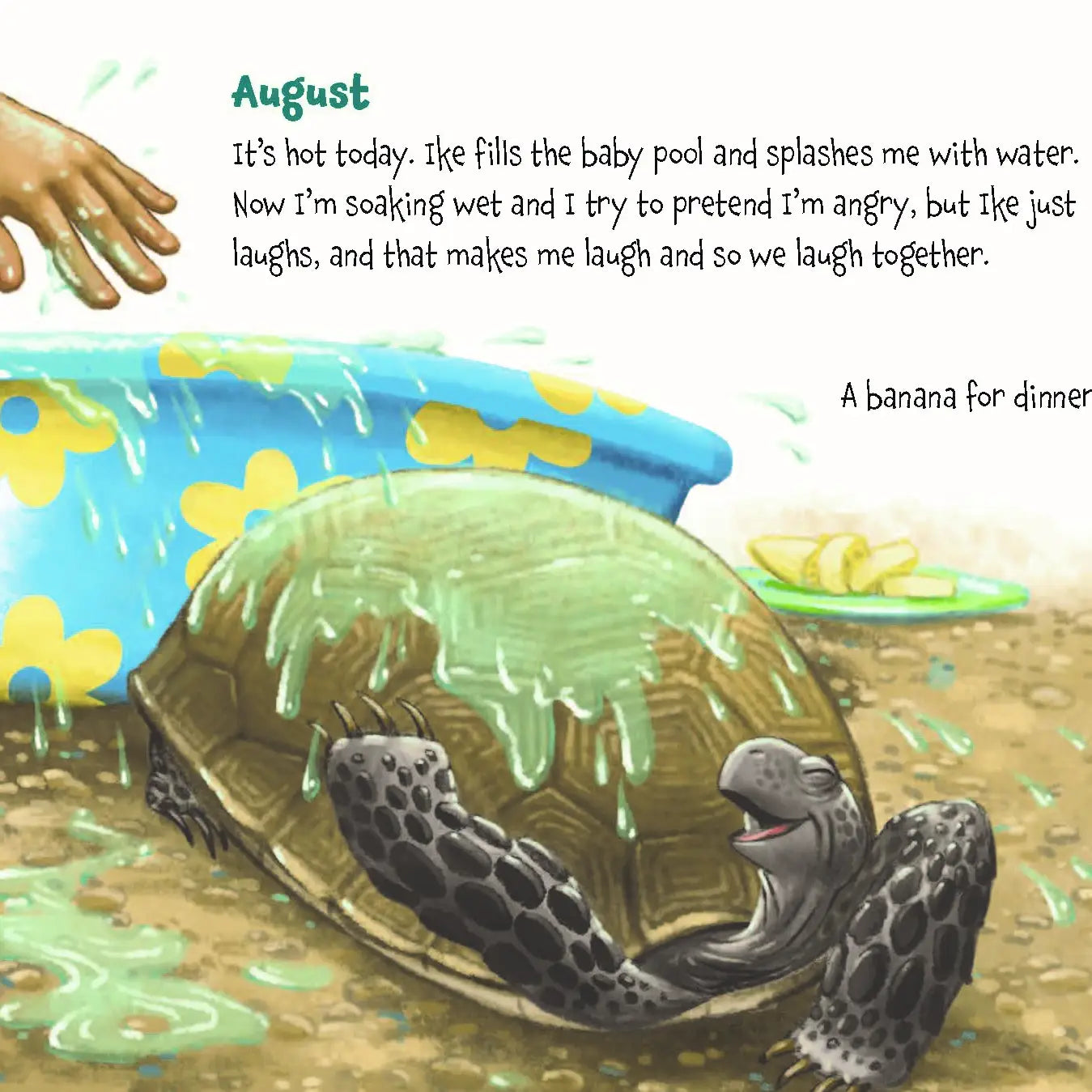 Memoirs of A Tortoise, A Picture Book