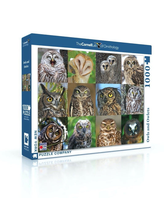 OWLS AND OWLETS 1000pc