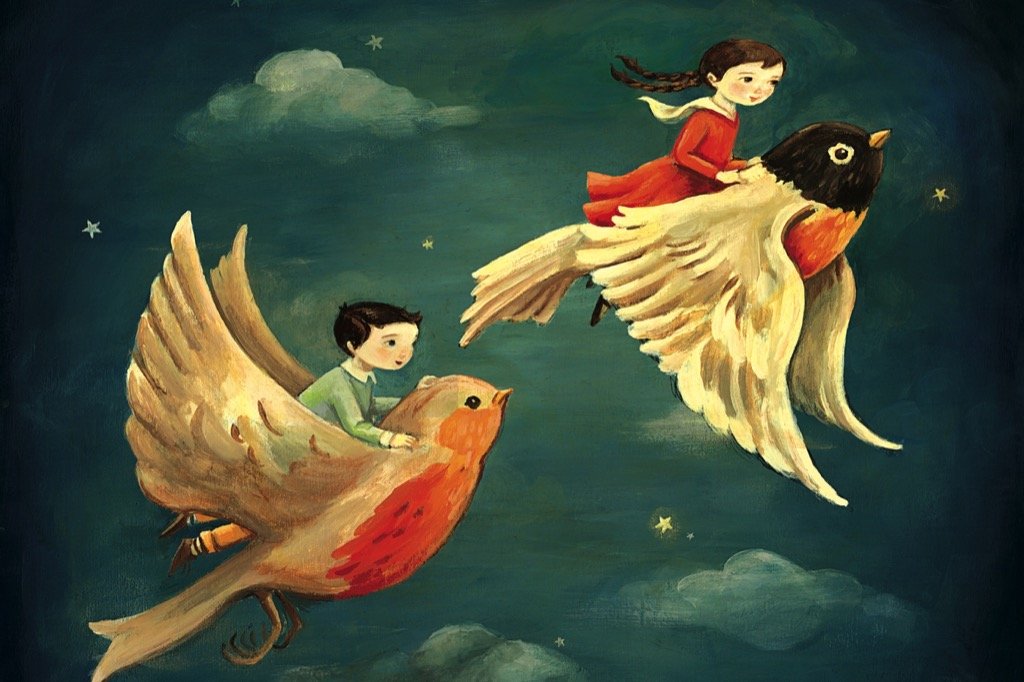 ROBIN DREAMERS MINI