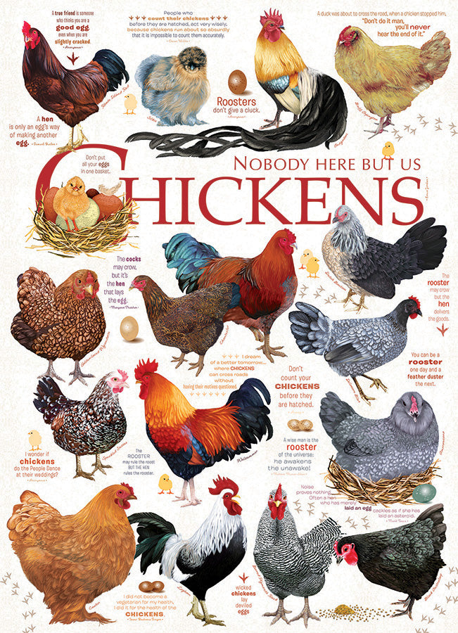 Chicken Quotes 1000pc