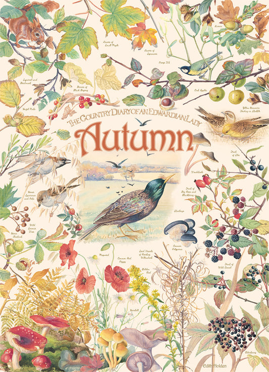 Country Diary: Autumn 1000pc