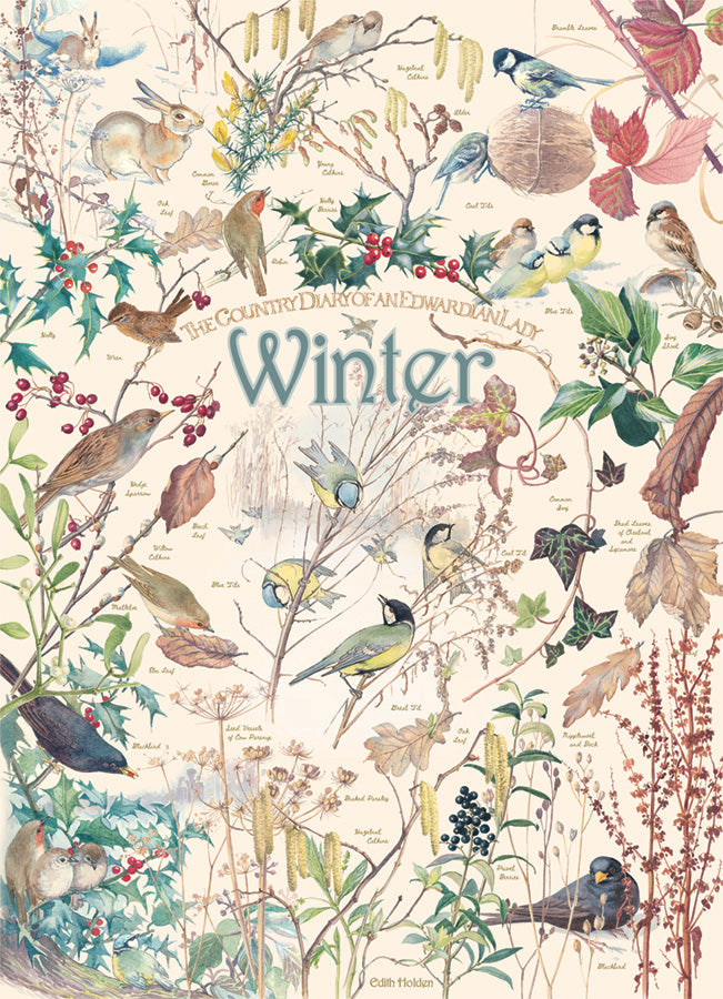 Country Diary: Winter 1000pc
