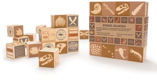 FOSSIL BLOCKS